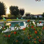 Casa vacanze Camélias Casa De Charme Varziela